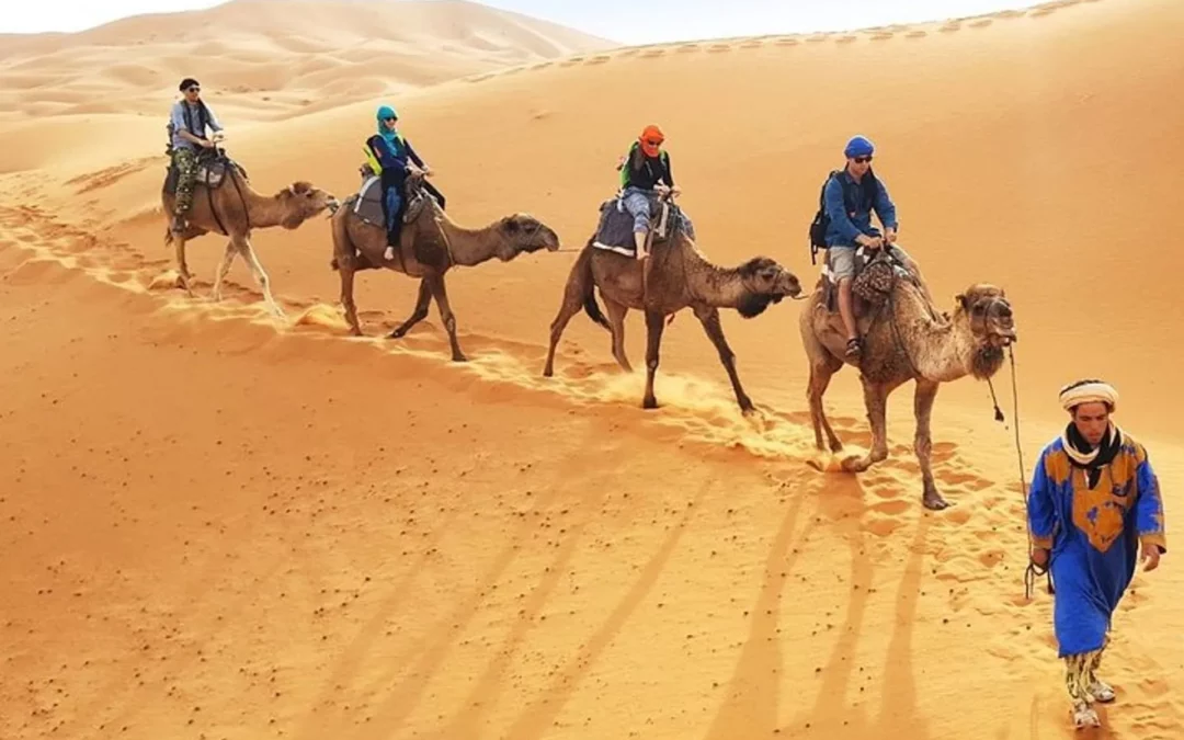 Travesía de un día completo en camello por el desierto de Merzouga en Marruecos