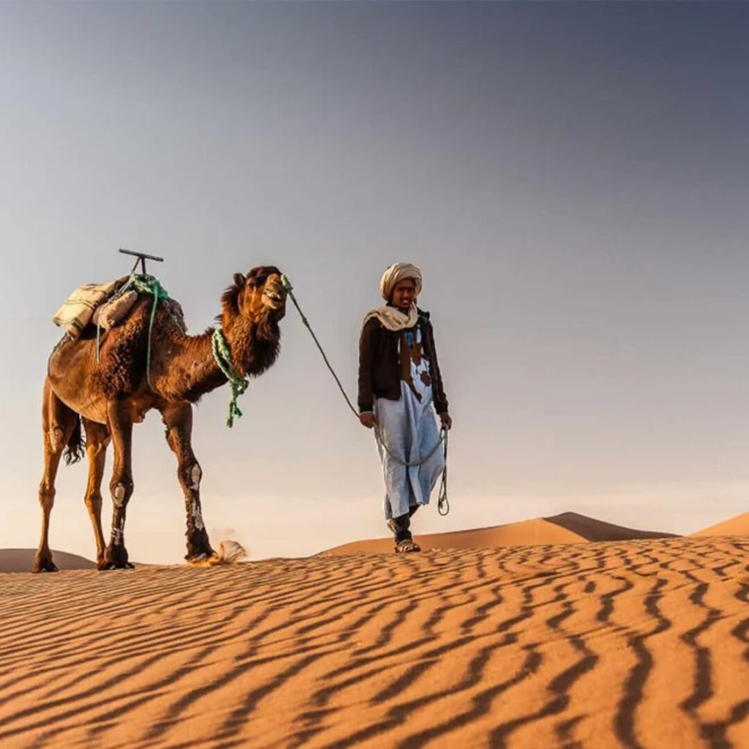 Tour de 7 días por Marruecos: De Fes a Marrakech pasando por el Sahara