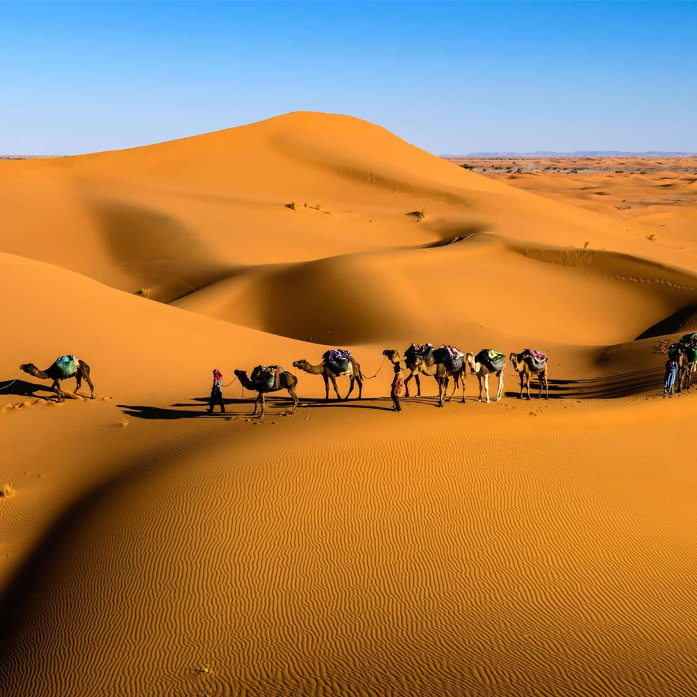 Tour de 3 Días de Fez a Marrakech por el Desierto 