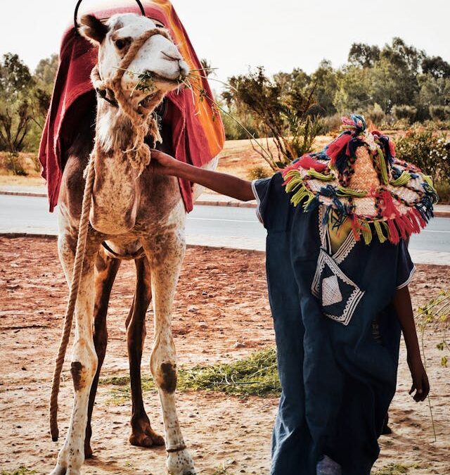 Tour de 5 Días por el Desierto del Sahara desde Ouarzazate a Merzouga