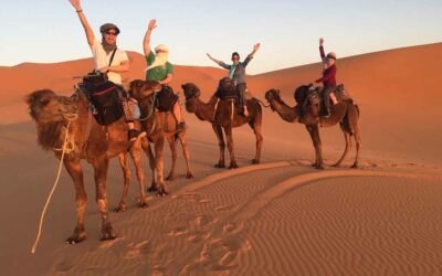 Excursiones Éticas en Camello: Aventuras Responsables en el Desierto