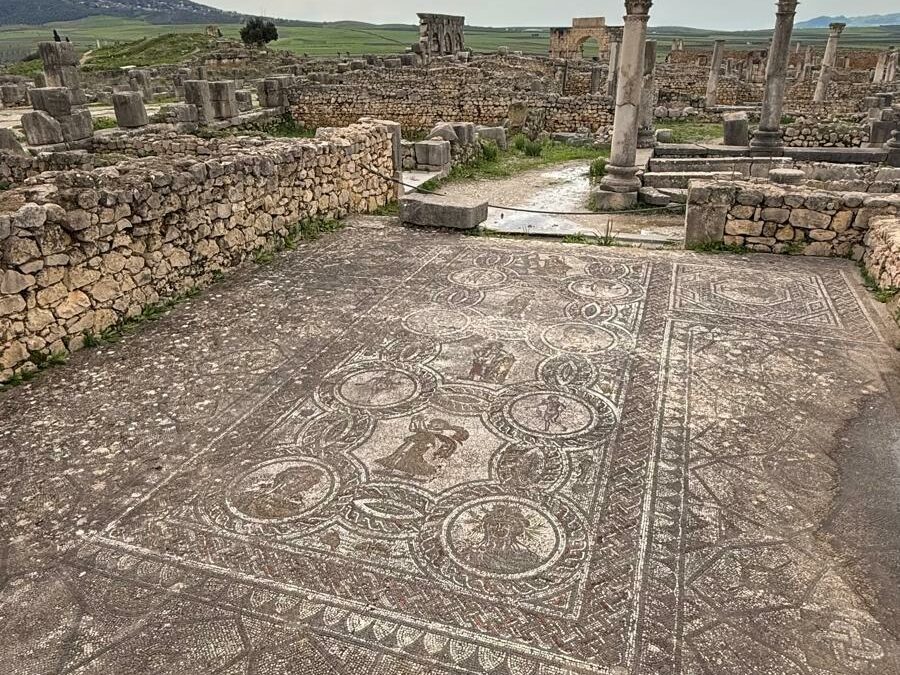 Excursión de un Día desde Fez a Meknes y Volubilis, Marruecos