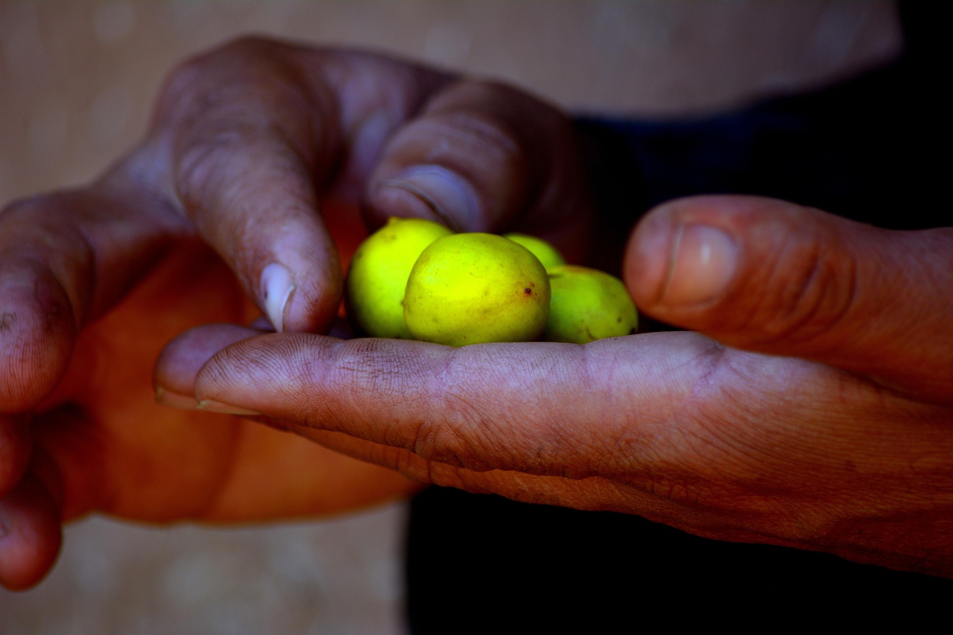 Aceite de argán de Marruecos